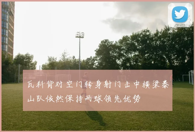 瓦科背对空门转身射门击中横梁泰山队依然保持两球领先优势