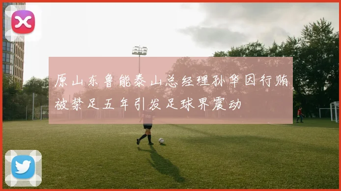 原山东鲁能泰山总经理孙华因行贿被禁足五年引发足球界震动